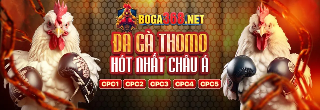 bj88 apk 2026: Nền tảng cá cược di động hàng đầu Việt Nam