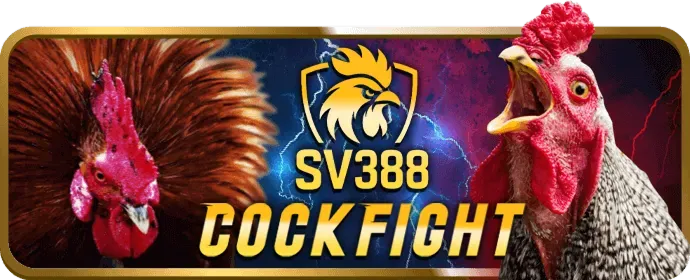 Tổng quan bảo mật bj88 apk